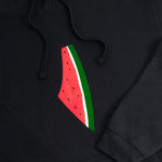 Load image into Gallery viewer, Preorder Freedom Melon Hoodie
